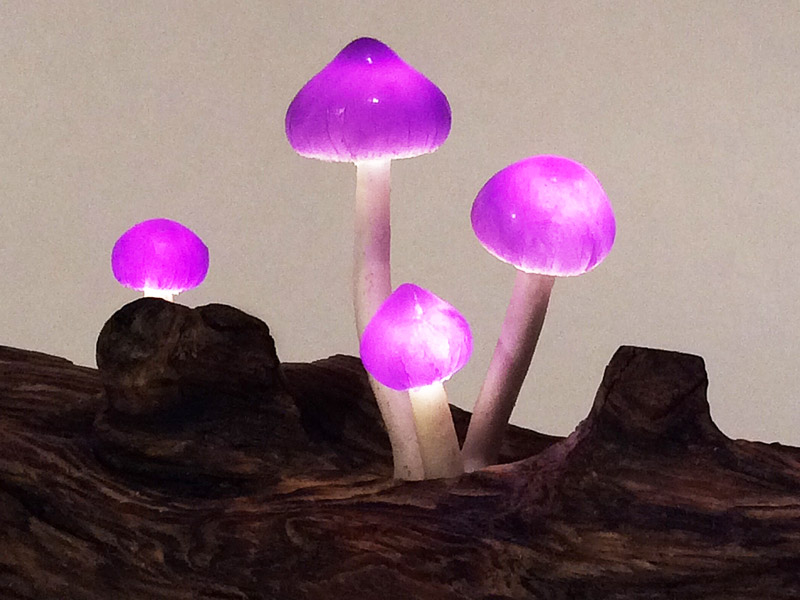Magic Mushroom Light